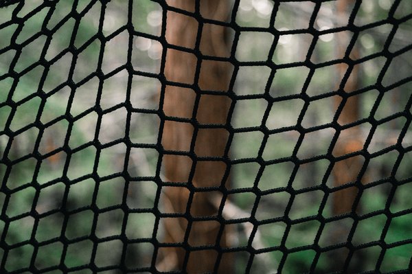 Filet de protection animaux : un must pour votre élevage !